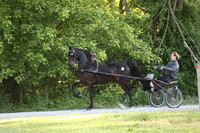 IMG_0019