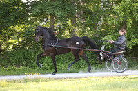 IMG_0051