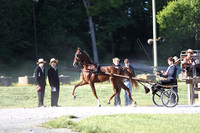 Lot 43