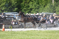 IMG_0844