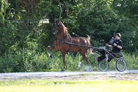 IMG_1285