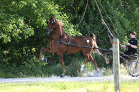 IMG_1287