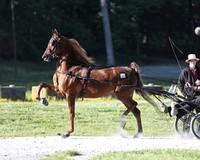 Lot 49