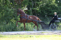IMG_1118