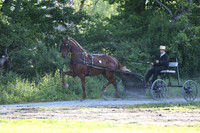 Lot 5