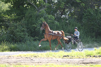 IMG_1856