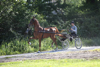 IMG_1884