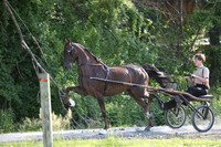 Lot 54