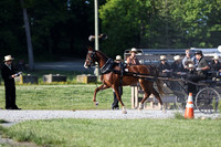 Lot 55