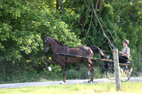 IMG_1122