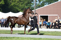 Lot 58