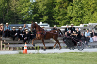 Lot 59