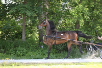 Lot 6