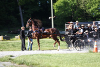 Lot 65