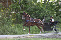 IMG_0175
