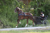 IMG_0176
