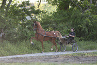 Lot 68