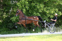 Lot 70