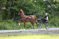 IMG_0528