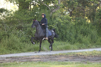 IMG_9516