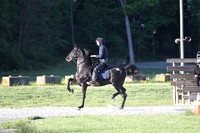 Lot 79