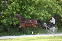 Lot 85