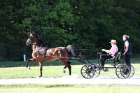IMG_0920