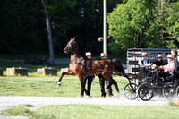 IMG_0914