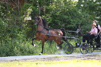 IMG_0936