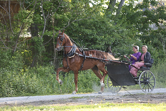 IMG_0620