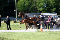 Lot 9