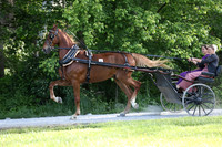 IMG_0605