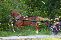 IMG_0607
