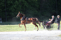 IMG_0008