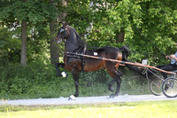 IMG_0678
