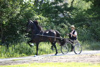 IMG_1786