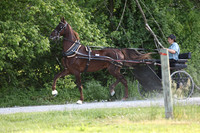IMG_0409