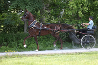 IMG_0411