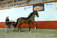 ASH_6711