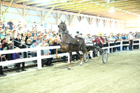 ASH_6720