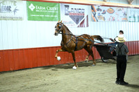 Lot 21