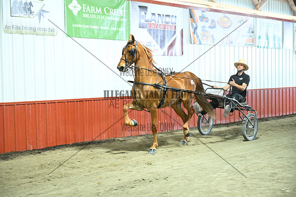 ASH_6925