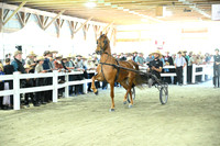 Lot 24