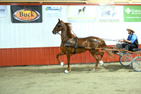 Lot 36