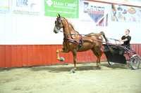 Lot 59