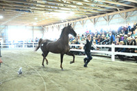 Lot 58