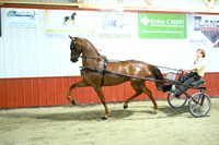 Lot 75