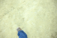 ASH_7746