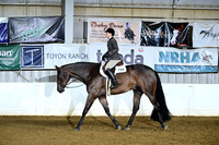 Junior Hunter Under Saddle