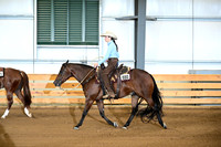 AJB_8971